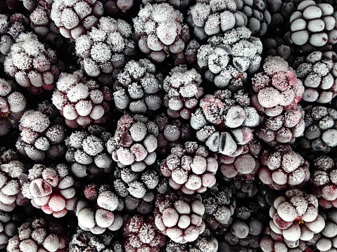 Close-up of frozen blackberries