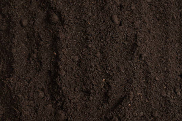 istock Black land for plant background. Top view. 1369379290