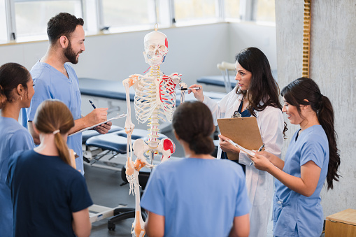 A multi-ethnic group of medical students stand in a semi-circle around the mid adult professor as she teaches them about the human skeletal system.