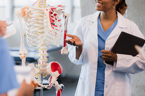 An unrecognizable mid adult medical school professor gestures and smiles as she stands by the model of the human skeletal system.