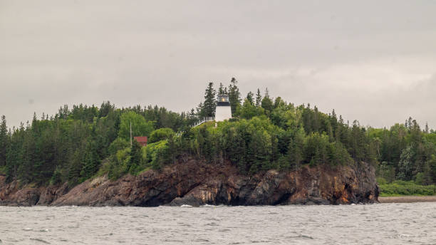 сова's руководитель маяк - owls head lighthouse стоковые фото и изображения