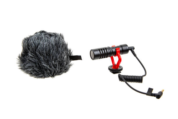 istock Small modern on-camera microphone with wind protection. Directional microphone. Audio recording tool. Isolate on a white background. 1369380038