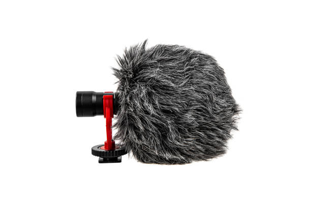 istock Small modern on-camera microphone with wind protection. Directional microphone. Audio recording tool. Isolate on a white background. 1369380042