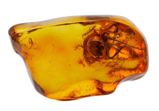 istock Spider inclusion in natural amber. Macro photography. 1369381481