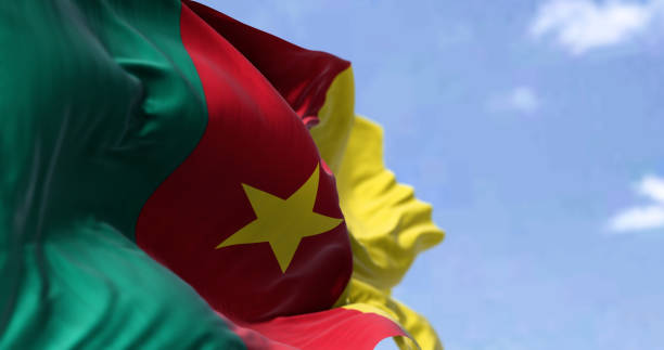 Detail of the national flag of Cameroon waving in the wind on a clear day Detail of the national flag of Cameroon waving in the wind on a clear day. Democracy and politics. Patriotism. Selective focus. West Central African country. yaounde photos stock pictures, royalty-free photos & images