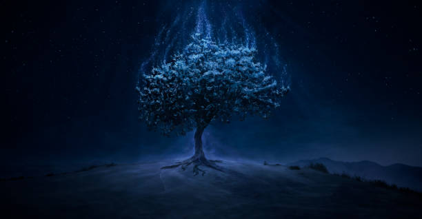 magic tree spreading magic on the hilltop - chama eterna imagens e fotografias de stock