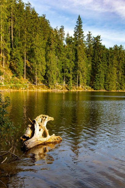 istock The karst lake Mummelsee 1369389415