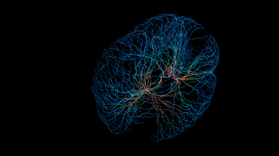 Brain model with synapses - 3D generated image.