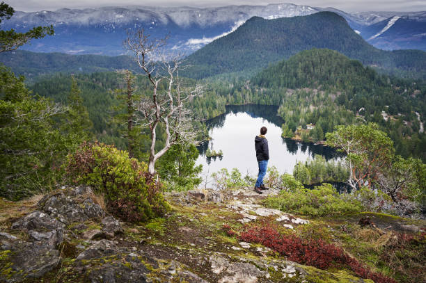 istock Man standing on a ridge overlooking a scenic view of forest and mountains 1369390971