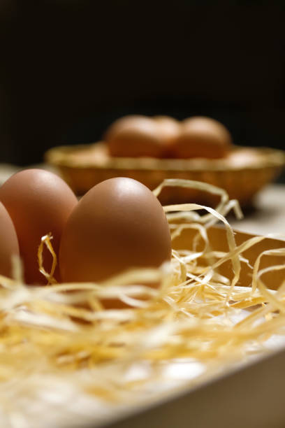istock Rustic eggs on black background. Easter craft box with brown eggs on eco background. Chicken eggs on craft table with hay and straw. Close-up view of raw product. Wooden straw 1369391282
