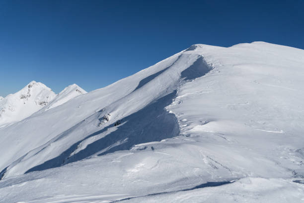 istock Museteica Peak, Fagaras Mountains, Romania 1369392629