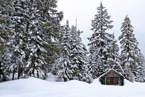 wilderness log cabin in winter forest