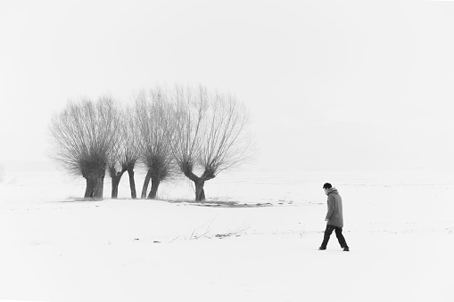 karla kaplı ovada görünen yaprak dökmüş ağaçlar ve ağaçlara doğru yürüyen adam arka planı. karla kaplı görüntü full frame makine ile çekilmiştir.