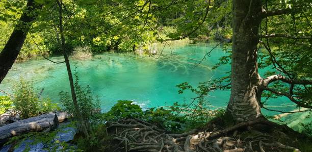 istock Plitvice Lakes National Park 1369395222
