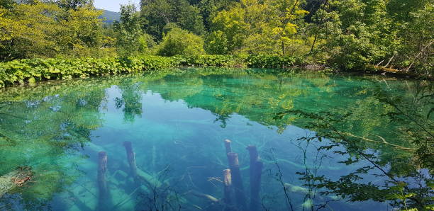 istock Plitvice Lakes National Park 1369395252