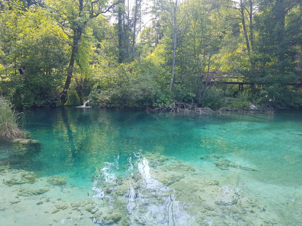 istock Plitvice Lakes National Park 1369395612