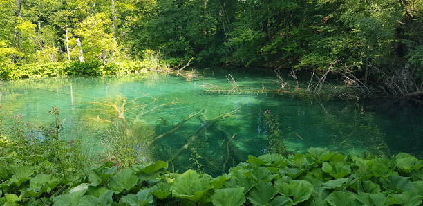 istock Plitvice Lakes National Park 1369395713