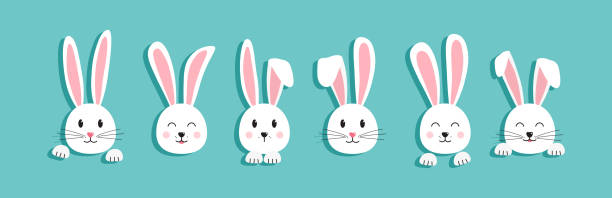 illustrazioni stock, clip art, cartoni animati e icone di tendenza di icona vettoriale della testa del coniglietto pasquale, coniglio dei cartoni animati, personaggio carino bianco. animale divertente - easter rabbit easter bunny easter egg