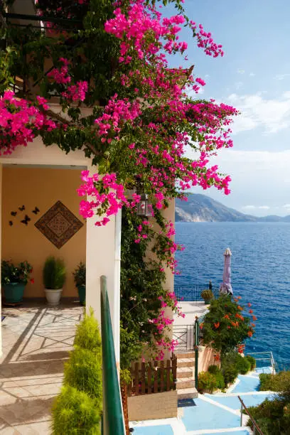 Photo of Small terrace of traditional greek house and blue stairs with sea view in Asos village, Cephalonia island. Luxury summer vacation and holiday. Greek island travel background