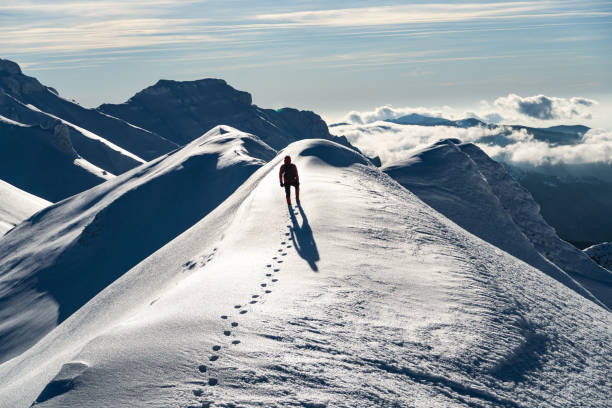 istock Tiganesti Mountain, Bucegi Mountains, Romania 1369397583