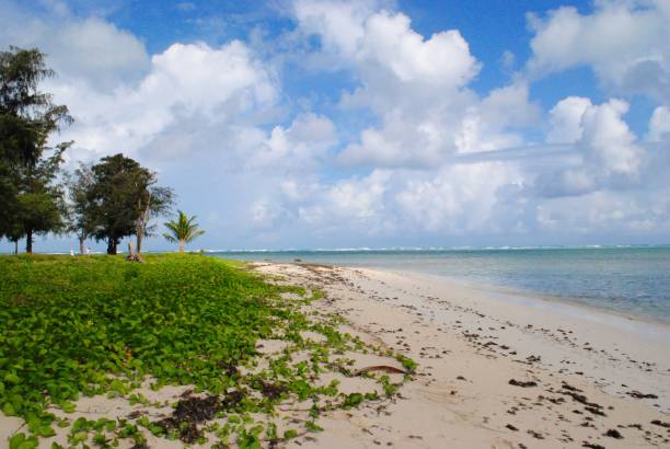 istock Beautiful Micro Beach in Saipan, Northern Mariana Islands 1369400781