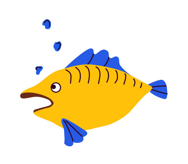 400 Flounder Fish Cartoon Character Illustrations & Clip Art - iStock
