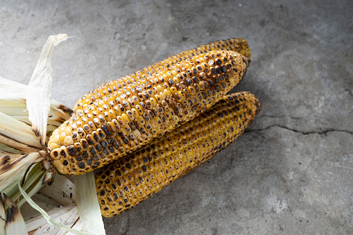 Grilled corn close-up on concrete background, traditional american holiday food