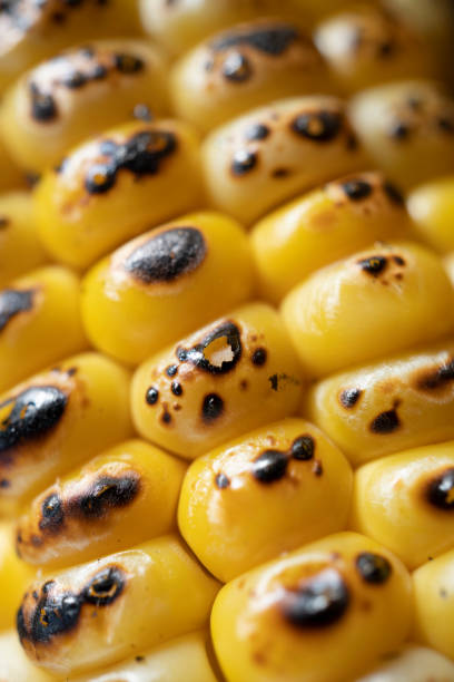 Grilled corn close-up on concrete background, traditional american holiday food