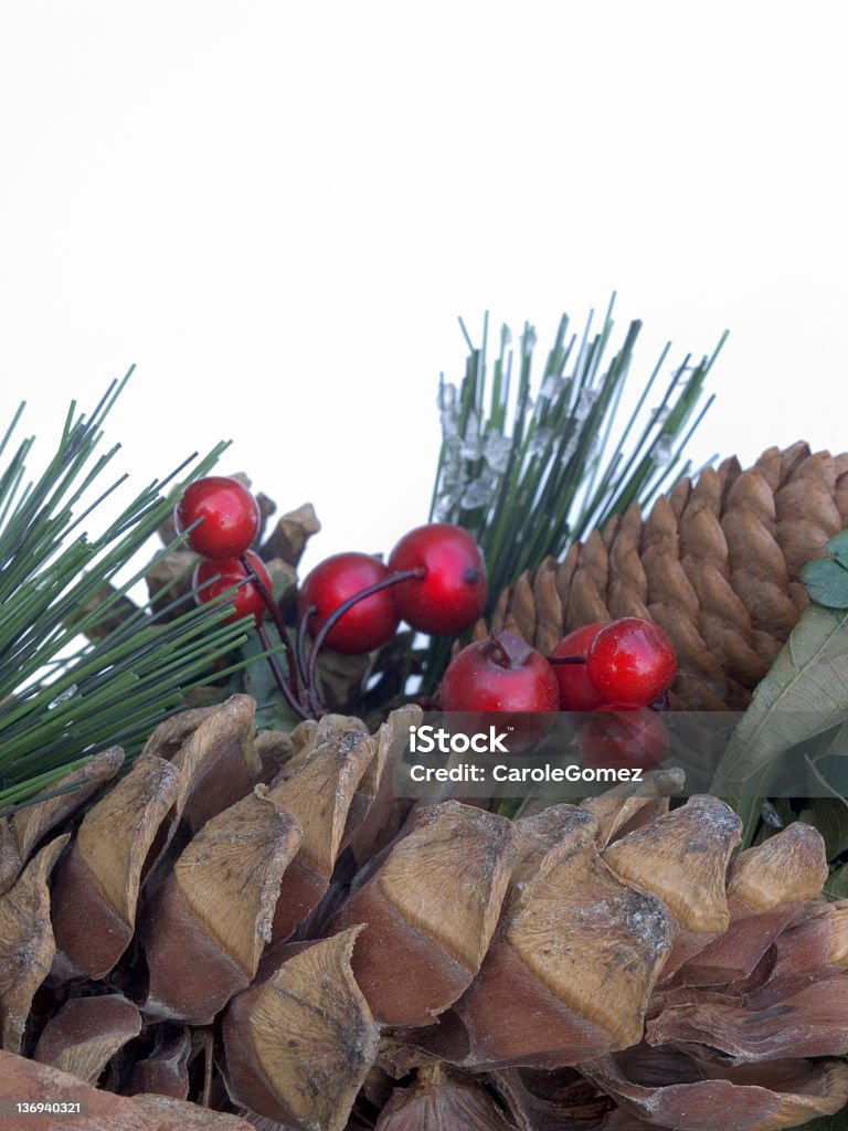 Cones de Natal e bagas - Foto de stock de Baga - Parte de planta royalty-free