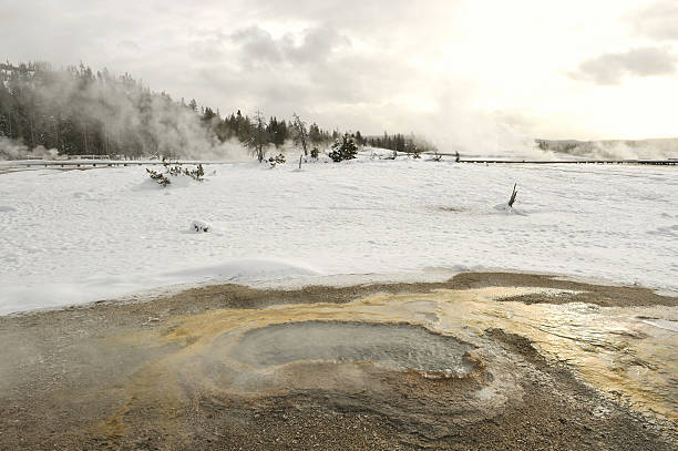 istock Ear spring in the Old Faithful area 136940388
