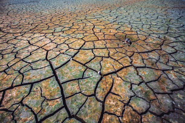 seca, aquecimento global, desertificação... - global warming cracked dirt earth - fotografias e filmes do acervo