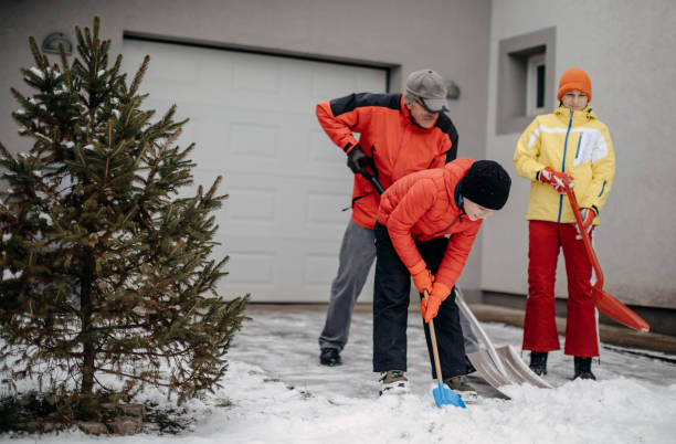istock Family cleaning snow 1369406819