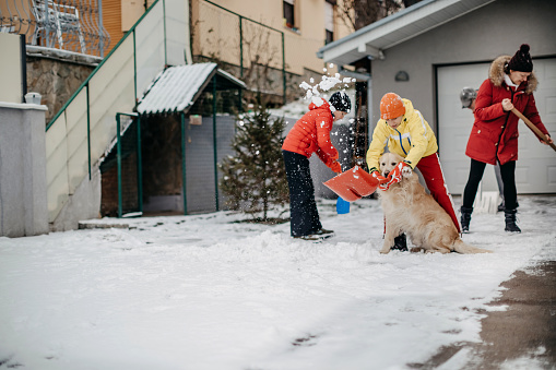 Multi-generation family cleaning snow from back yard together with their dog