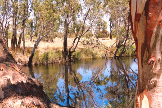 istock Horsham,  Victoria, Australia 1369409942