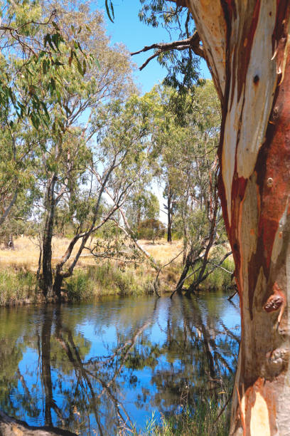 istock Horsham,  Victoria, Australia 1369409945