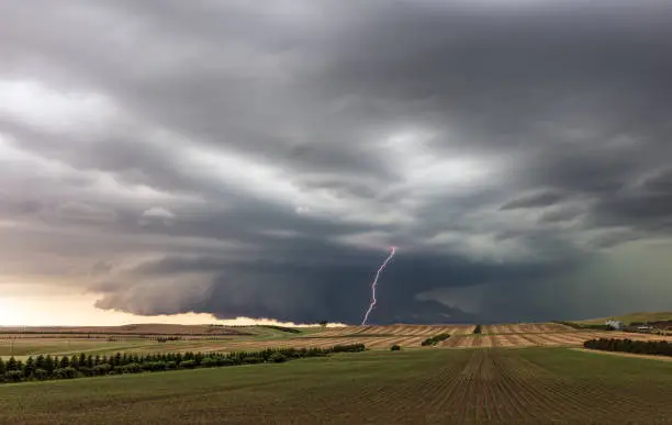 Dramatic supercell thunderstorm with wall cloud and lightning strike over a field near Linton, North Dakota.
