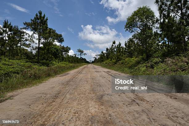 Foto de Estação Chuvosa Paisagem e mais fotos de stock de Ajardinado - Ajardinado, Bosque - Floresta, Cloudscape