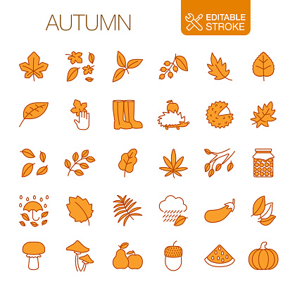 Autumn icons set. Vector illustration. Editable stroke.