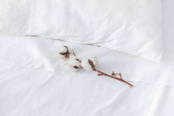 istock White Flower Branch on a Neatly Made Hotel Bed with White Sheets 1369415823