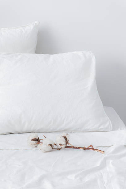 istock White Flower Branch on a Neatly Made Hotel Bed with White Sheets 1369415829