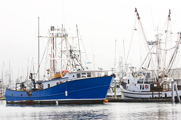 istock Fishing boats 136941655