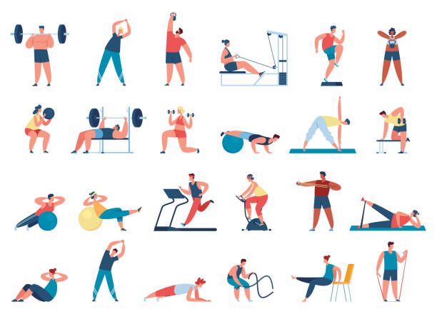 ilustrações de stock, clip art, desenhos animados e ícones de people exercise in gym. female and male characters leading healthy lifestyle. men training with barbell, weight - athlete muscular build yoga female