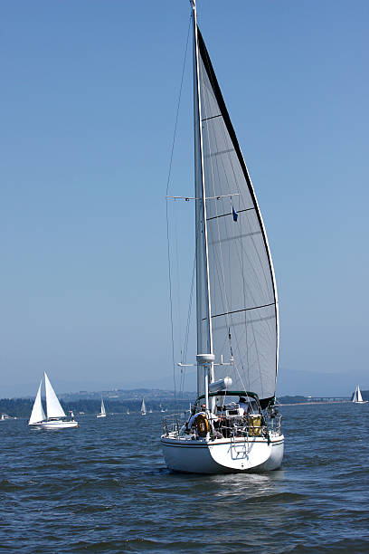 istock Sailboats on the river 136942191