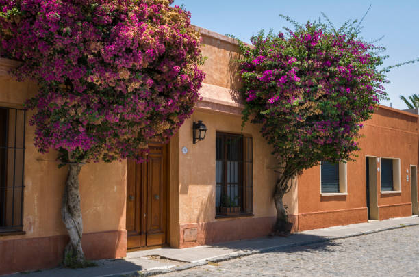 istock Colonia del Sacramento in Uruguay 1369427204
