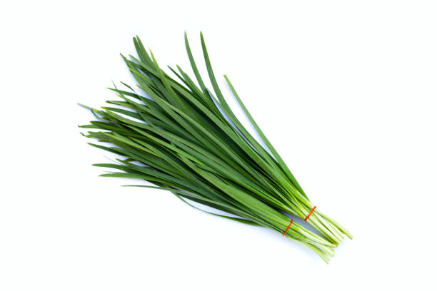 istock Fresh Chinese Chive leaves on white background. 1369427405