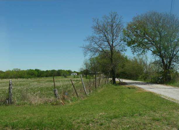 도로를 따라 나무와 녹색 식물오클라호마의 뒷길 - oklahoma agriculture landscape nature 뉴스 사진 이미지