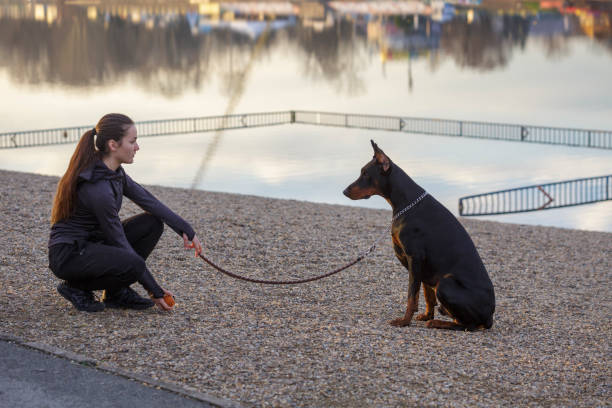istock Girl with dog 1369428676