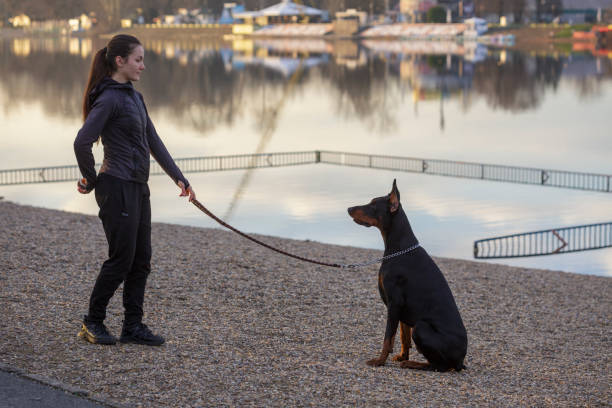 istock Girl with dog 1369429108