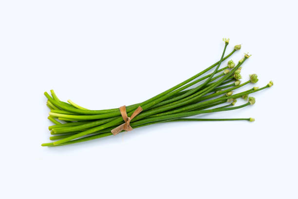 istock Chives flower or Chinese Chive on white 1369429276