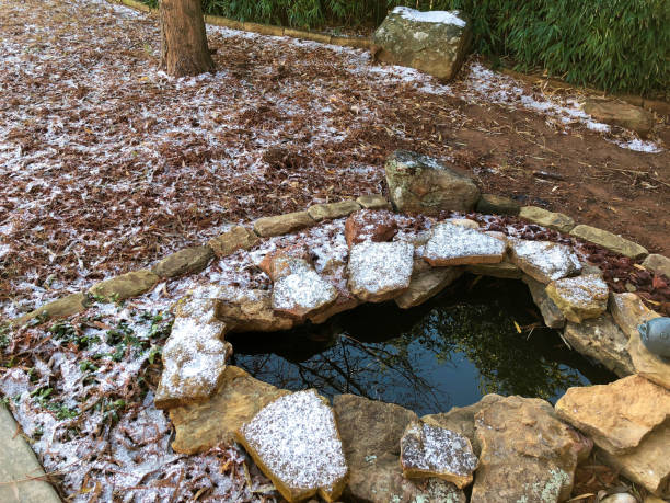 istock Snow flurries cover the ground, with trees reflected in a small fish pond 1369430150